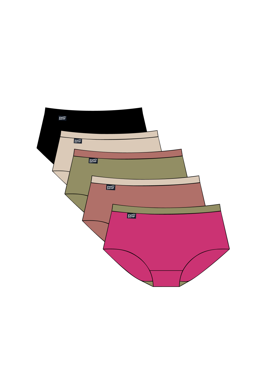 Perfect Panty 5 Pack