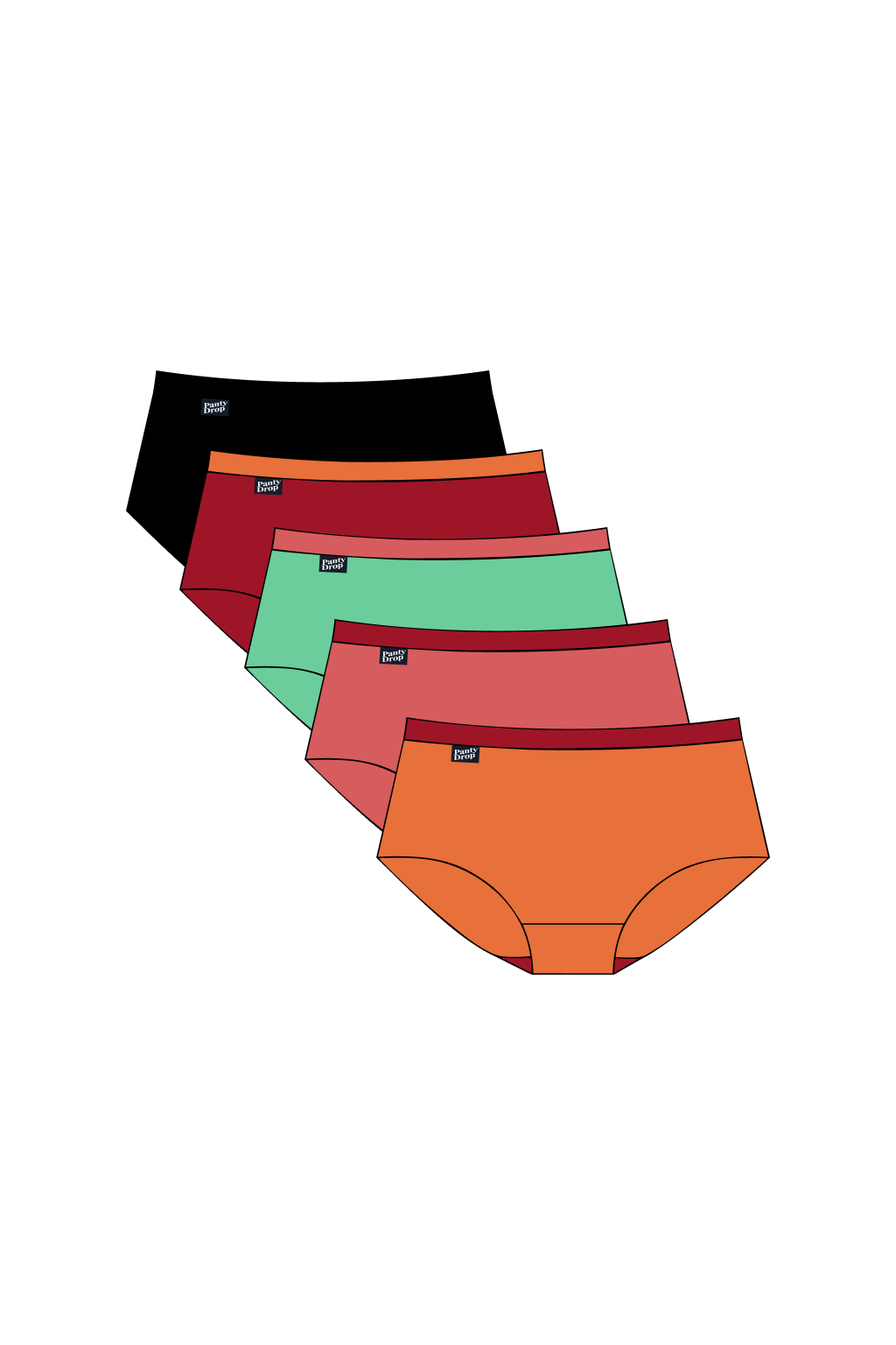 Perfect Panty 5 Pack