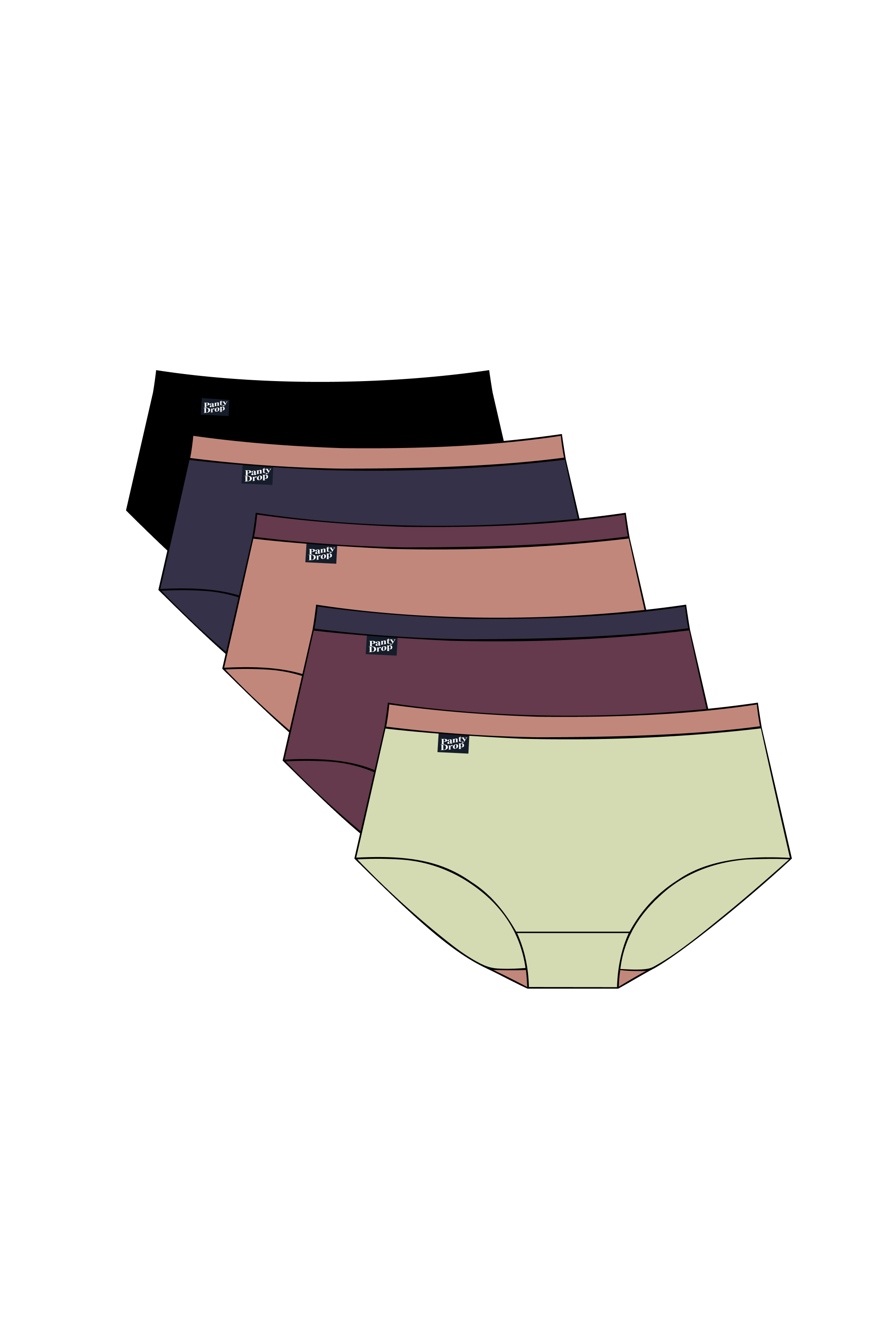 Perfect Panty 5 Pack