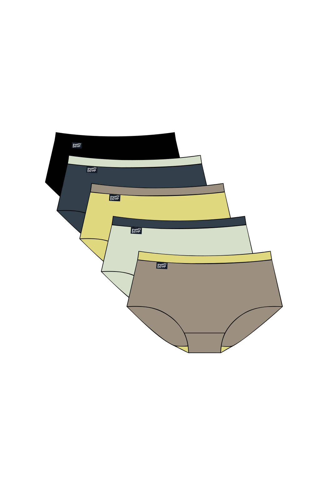 Perfect Panty 5 Pack