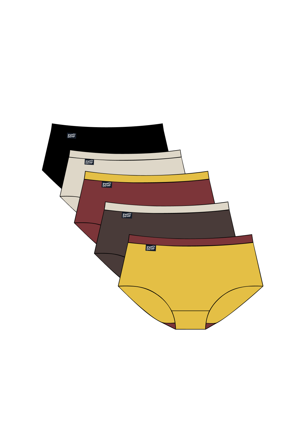 Perfect Panty 5 Pack